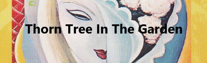 thorn tree in the garden